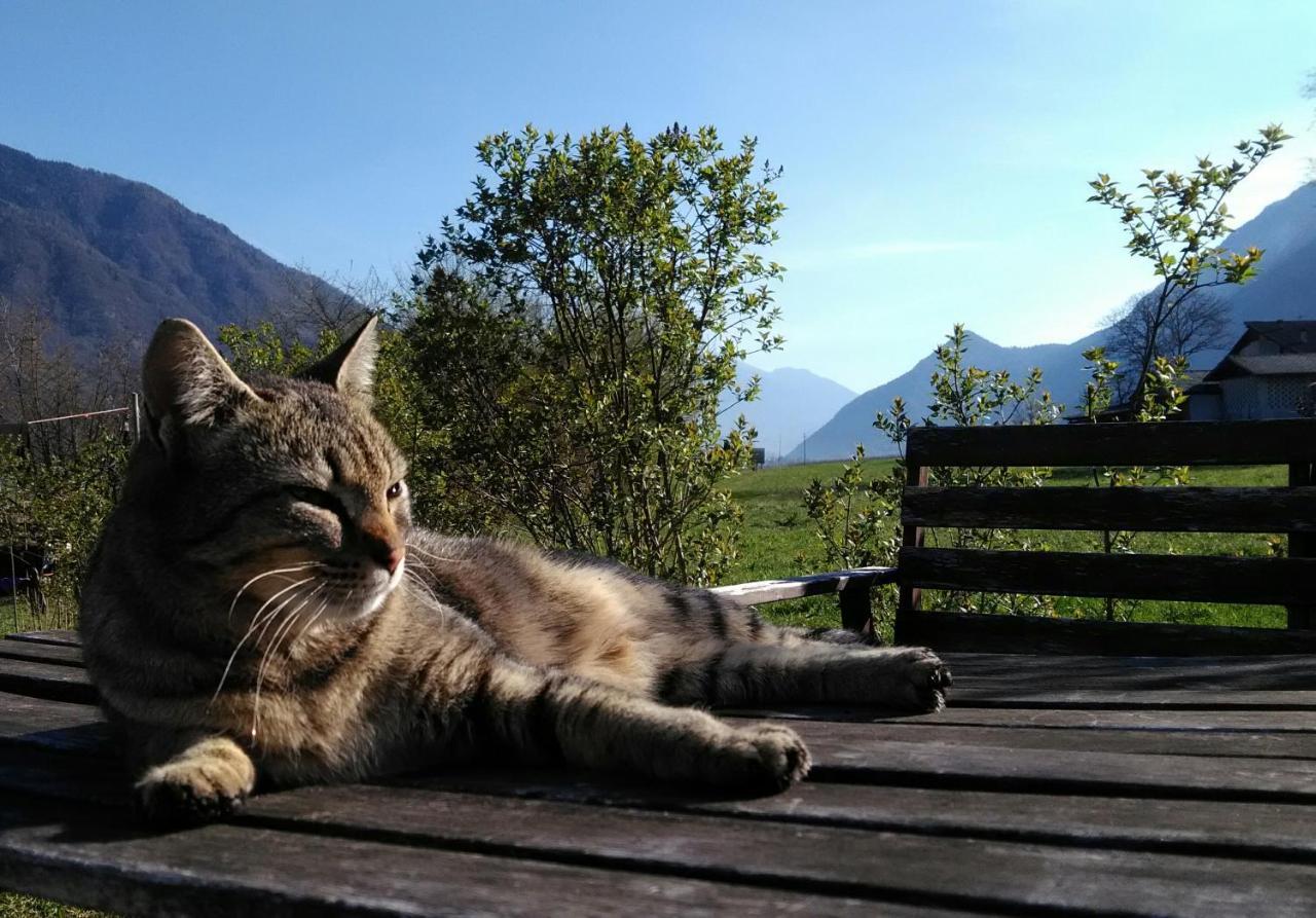Agritur Airone Bed & Camping Levico Terme Luaran gambar